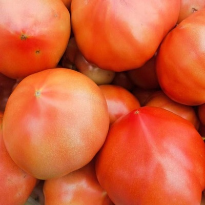 tomato natural Tomatoes Breed Hubei Tianmen specialty fresh Yellow Sweet and sour Good one