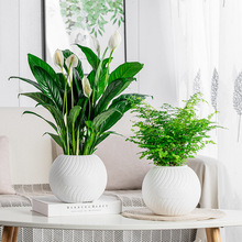 懒人自吸水花盆塑料加厚树脂水培圆形立体桌面花盆喜庆红色土培盆