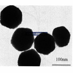 �{��̼�� ��������̼�� �߼�99.9%�{��̼�� C 20nm