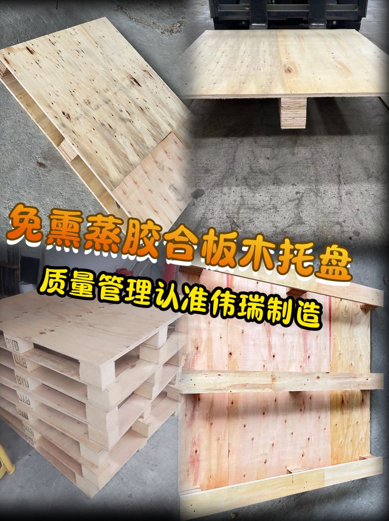 微信图片_20240923132445