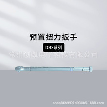 �{��DBS-5 DBS-60�A��Ť������DBS-450 DBS-2500���ՙCе����z�y