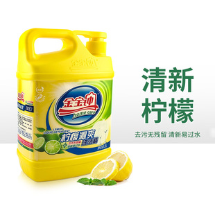 ��ͥ ��۽����R�����o��ϴ����2L �;�ȥ����ϴ�����S�r���l