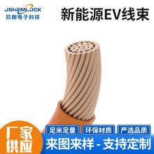 ���ďS��ֱ������ԴEV���� 늄���܇�߉��� ��늘��B�Ӿ������