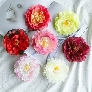 [small Amount Wholesale] New Silk Cloth Peony, Practical Set of Peony Flowers for Newlyweds, Multiple Colors Available