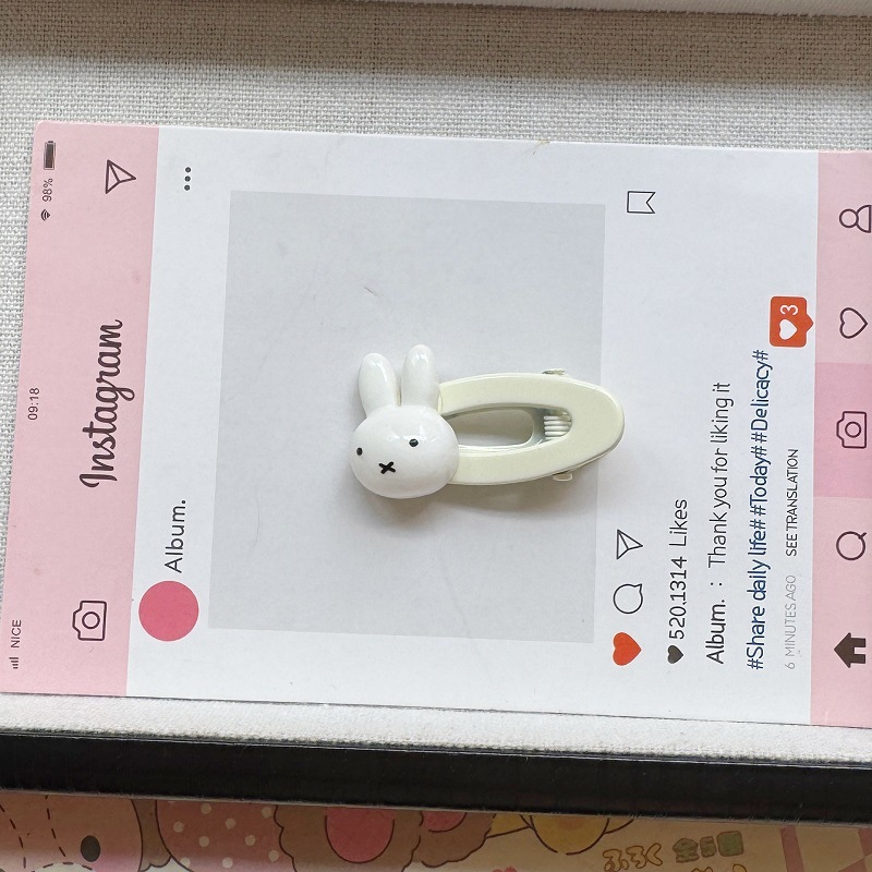 검은색 아기 토끼