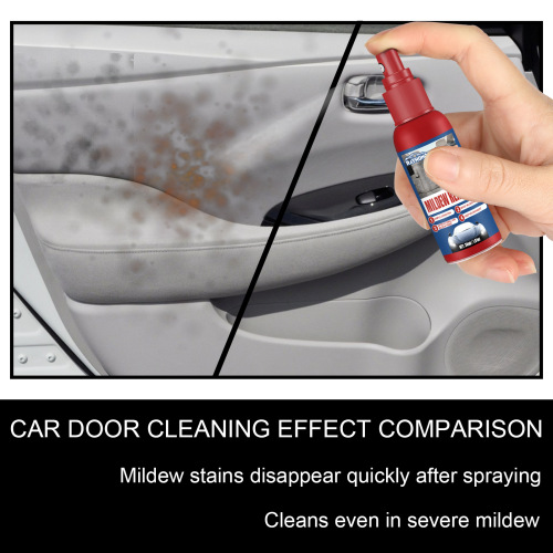 Rayhong Car Mold Remover, Interior Cleaning and Maintenance Mold Remover for Car Seats, Floor Mats, and Ceilings