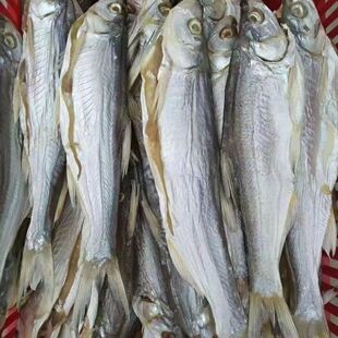 ���K�خa�N���~��ˮҰ�������~�_��С���~�ɴ����~�ɲ͗l���}����