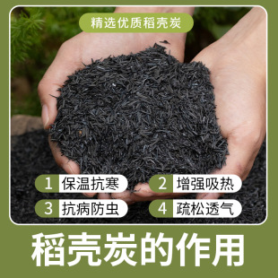 ���Sֱ�N���|����̿�w������̿���Ϸ��x�I�B�����|�@ˇ�õ���̿