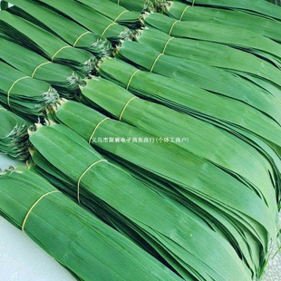 Fresh Rice Dumpling Leaves, Freshly Picked and Natural Wild Large Rice Dumpling Leaves, Fragrant Rice Dumpling Leaves, Guaranteed to Be Compensated if They Are Damaged (Fresh)