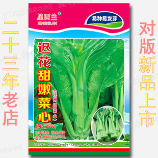 �t�����۲��ķN�� �s1000�� 150���B���t��޷�N�� ���� �ļ� �׷N