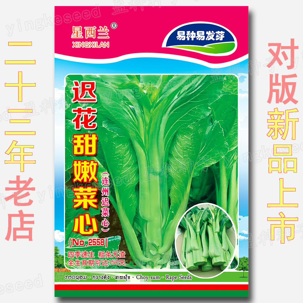 Chi Hua Sweet and Tender Cabbage Seeds, about 1,000 Seeds, 150 Days Lianzhou Chi Cabbage Seeds, Fast Growing, Easy to Grow in All Seasons