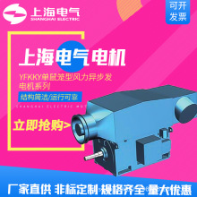 上海电气集团上海电机厂发电机YFKKY单鼠笼型风力异步2650kw 厂商