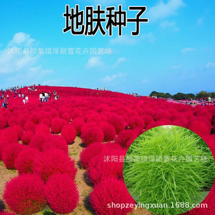 �t�~���w�N�ӾG�~���w�N�ӵ����F������˼t���w�@�־��^�����N��