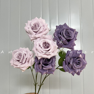�W�t�ʯõõ����滨�߼���c�bҾ�ܛ�b�Ƶ��b羳�ٲ�����
