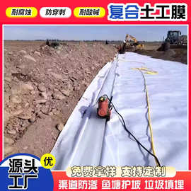 定制1600克复合土工膜两布一膜鱼塘人工湖水库垃圾防渗防水土工布