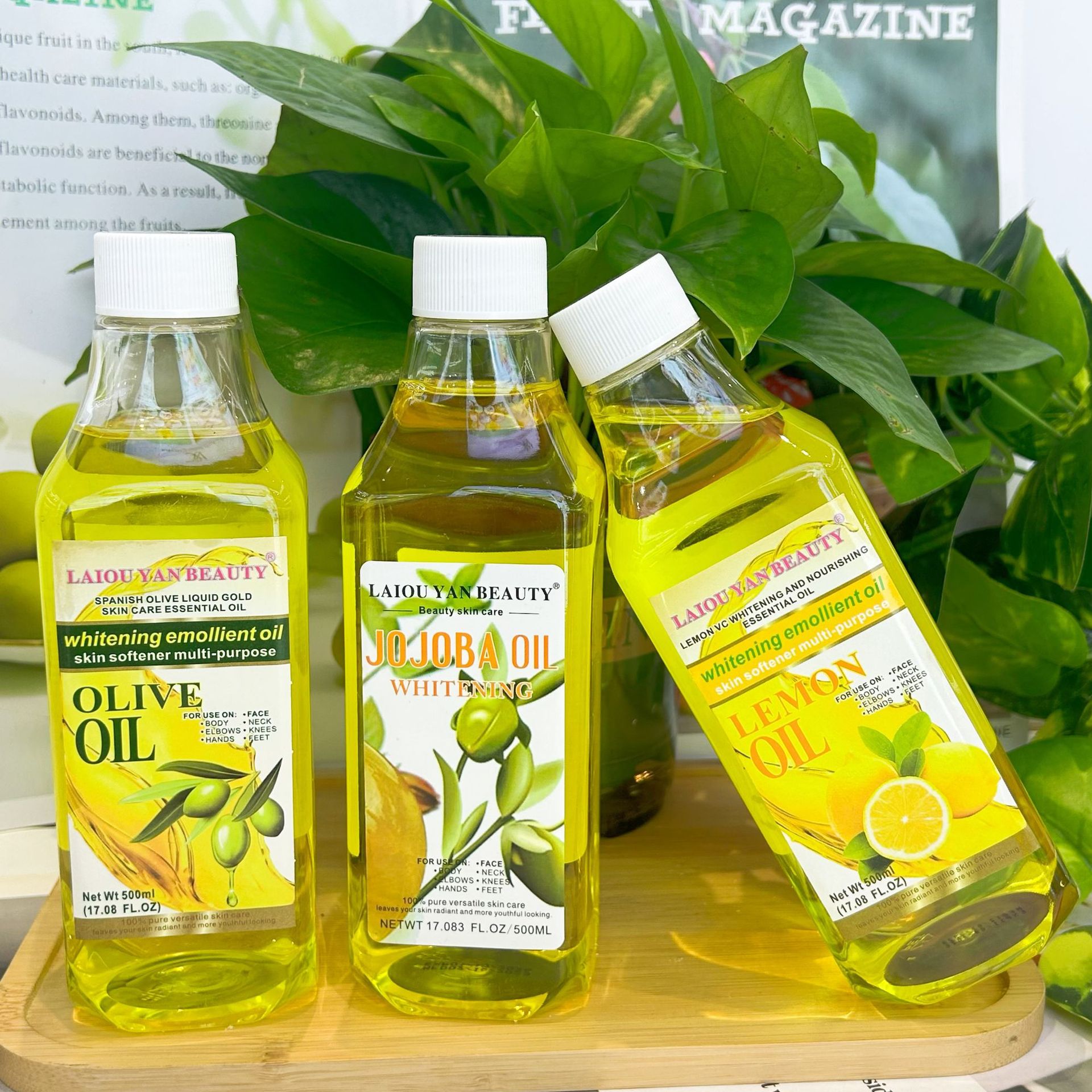 微信图片_20250304173602