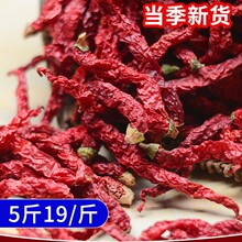 微辣特香二荆条红辣椒四川特产二斤条干辣椒250g辣椒油泼辣子调料