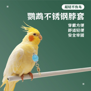 �˸绢Ƥ�B�ò���ĵ�����P�W�^��Ȧ���P��B���Ӗ�B�þ�