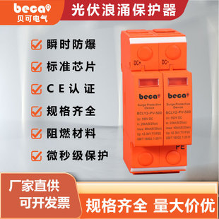 First-Level Lightning Protection Device 2P 550Vdc Dc Photovoltaic Surge Protector Lightning Strike Protection Power Supply High Voltage