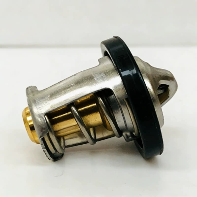 Motorcycle engine and accessories Bombardier Thermostat