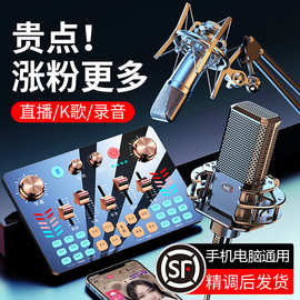 金运V19声卡游戏录音唱歌专用设备台式电脑手机话筒修音直播全套