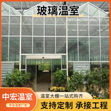 智慧物联网大棚 农业智能自动控制光照 无土栽培大棚生态温室