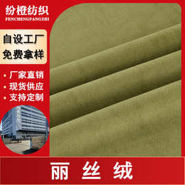 现货荷兰绒玩具绒布丽丝绒面料批发天鹅绒沙发抱枕服装布料定制