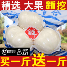 兰州鲜百合三头皇500g纯食用农家特产甜百合南北干货百合干