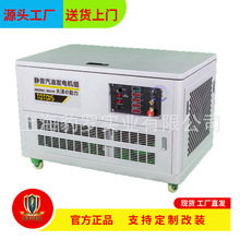 大泽动力20KW30000瓦静音箱式汽油发电机组 远程遥控启停工程施工