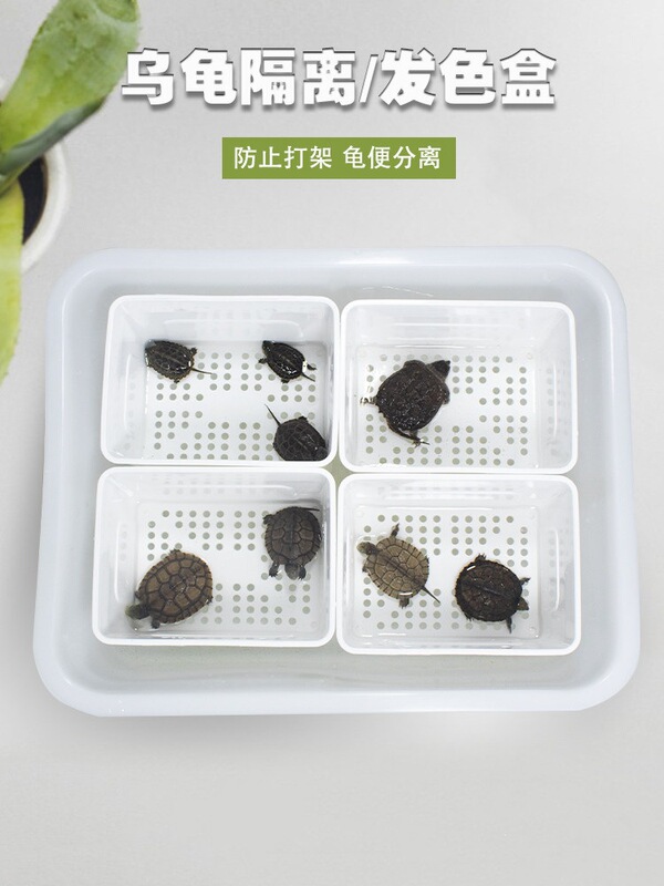 Turtle Isolation Breeding Box, Black and White Alligator Turtle, Razorback Turtle, Large Egg Turtle Hatchling Pot with Insulation Cover, Hatching Box