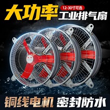 ���ʴ�ߴ����L�ȏN�����ù��I�L�Cؓ���������ÓQ���ȳ��͟��C