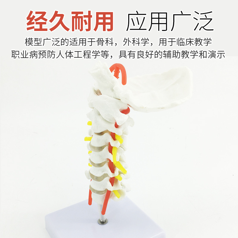 ���弹��ģ�� ��׵�� ��׵ģ�� ��׵���� ��׵�ṹ��׵����ģ��