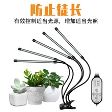 �羳ֲ�ﲹ��ƶ���ֲ���LED��ͽ����������������ż���ֲ��