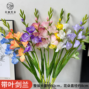 ���~���m���滨�b[���ߙn����ٻ��߼��п͏d��ز廨ˇ�쾰