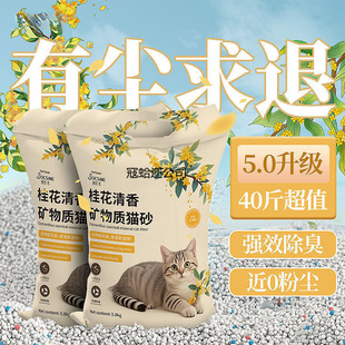 ؈ɰ���]20������������ľ���VɰС�׶���40����b؈ɳ