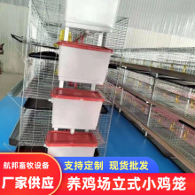 立式四层2门育雏养殖笼 多层小鸡笼子蛋鸡育雏笼 畜牧农用养殖笼