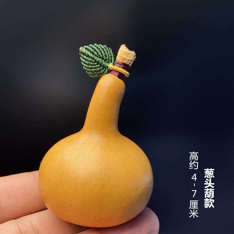 【9】양파 조롱박 + 잎 포함