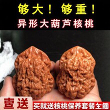 ����������챡���ñ���뻢�^�������J���Ο��\���ӱP���ְ����