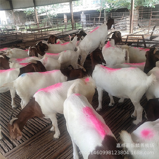 ����ɽ�� ���B���N ����� Ŭ�ȁ���ɽ�� ����ɽ����� ��������