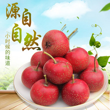 ���rɽ髹���ɽ�����ɽ��t�Ǯ���ˮ���Ǻ��J�Fժ���l