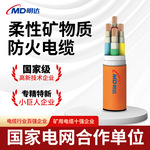 国标BTLV BBRTZ 3芯4芯3+1 3+2芯柔性矿物质防火电缆