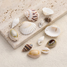 天然贝壳海螺吊坠单孔金边贝壳 diy饰品配件手工打孔手链项链材料