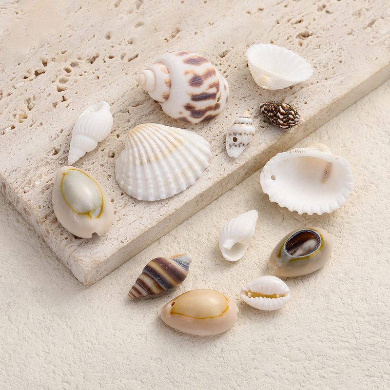 Natural Shell Conch Pendant Single-Hole Gold-Edged Shell DIY Jewelry Accessories Hand-Drilled Bracelet Necklace Materials Natural Shell Conch Pendant Single-Hole Gold-Edged Shell DIY Jewelry Accessories Hand-Drilled Bracelet Necklace Materials