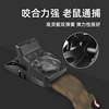 Factory wholesale plastic mouse catccher mouse extinguishing tools Furnishing high -efficiency mice shoot fully automatic mouse clip