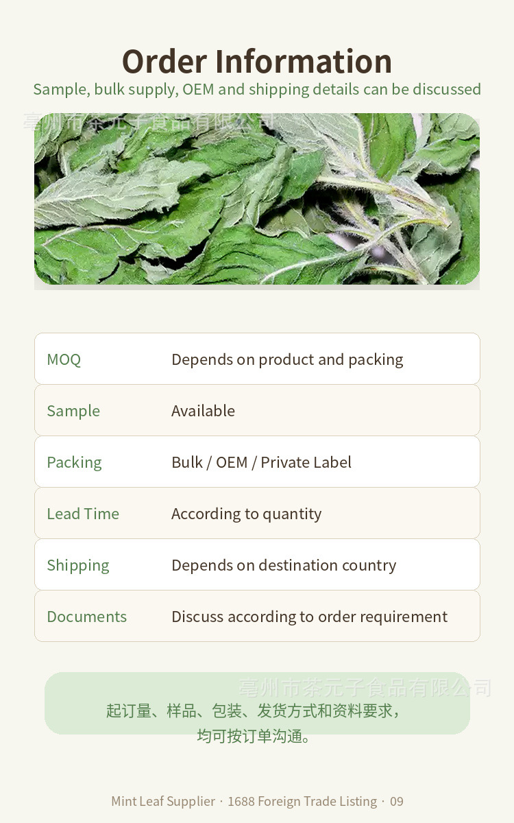 Dried Peppermint Leaf Bo He 薄荷叶 Herbal Tea Ingredient 500g in use