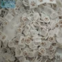 防静电环保白色彩色泡棉