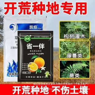 ��������������A��ľ����ˮ���_��������������ˮ�s�ݳ��N��ɶާ