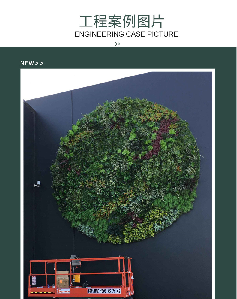 植物墙室内_12