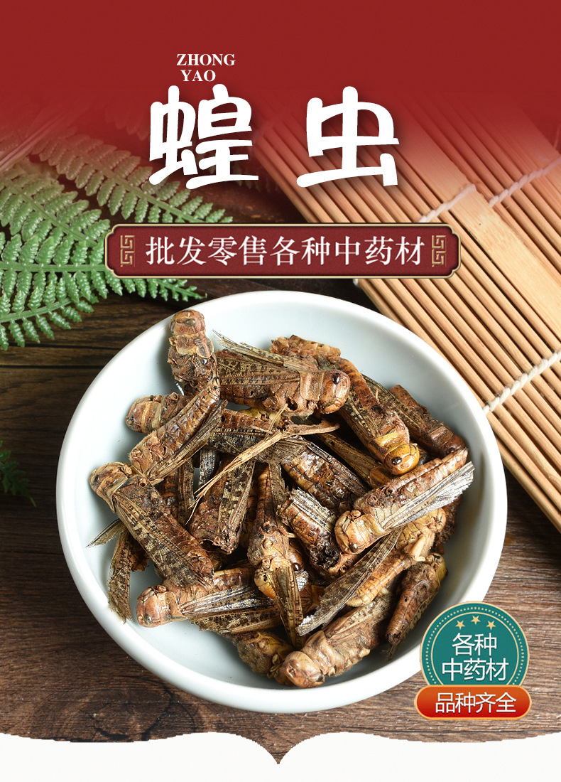 Dried Locust (Locusta migratoria) — Edible Farm-Raised Grasshopper, 500g Bulk Food Ingredient overview