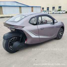 其他电动车;电动三轮车;其他非机动车